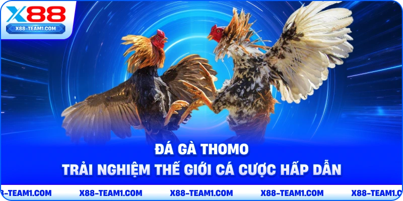 da-ga-thomo-trai-nghiem-the-gioi-ca-cuoc-hap-dan