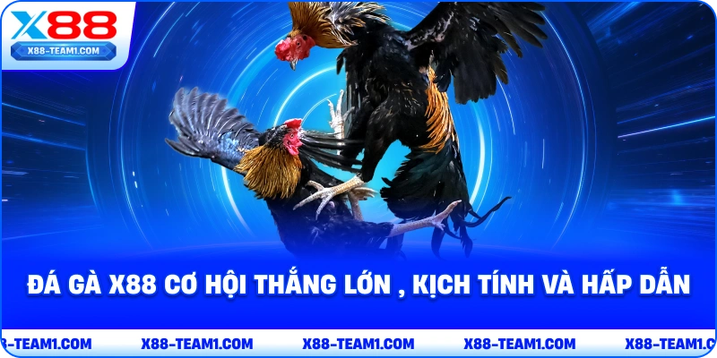 da-ga-x88-co-hoi-thang-lon-kich-tinh-va-hap-dan