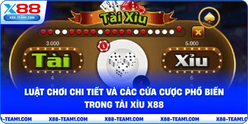 luat-choi-chi-tiet-va-cac-cua-cuoc-pho-bien-trong-tai-xiu-x88
